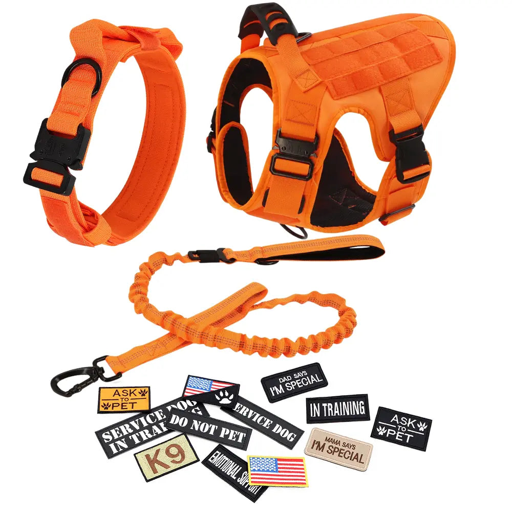 Professional Tactical Dog Harness, Leash, and Collar Set for Large Breeds - Ideal for German Shepherds and Malinois - Perfect for Training and Outdoor Activities
