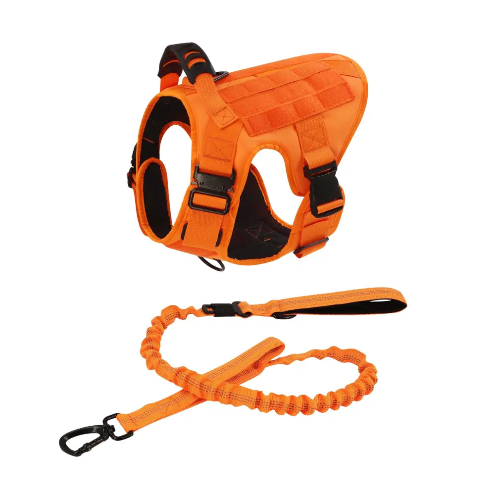 Professional Tactical Dog Harness, Leash, and Collar Set for Large Breeds - Ideal for German Shepherds and Malinois - Perfect for Training and Outdoor Activities