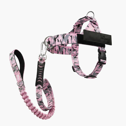 Dog Friendly Co. No-Pull Harness with Bungee Leash and D-Ring Attachment