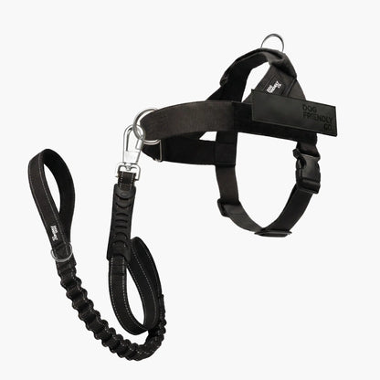 Dog Friendly Co. No-Pull Harness with Bungee Leash and D-Ring Attachment