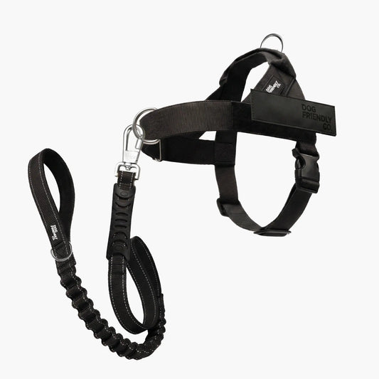 Dog Friendly Co. No-Pull Harness with Bungee Leash and D-Ring Attachment