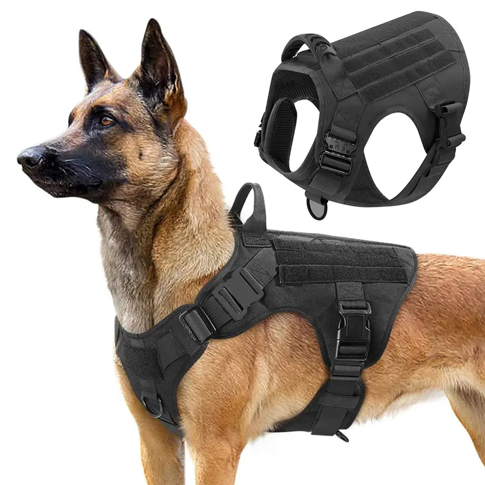 Professional Tactical Dog Harness, Leash, and Collar Set for Large Breeds - Ideal for German Shepherds and Malinois - Perfect for Training and Outdoor Activities