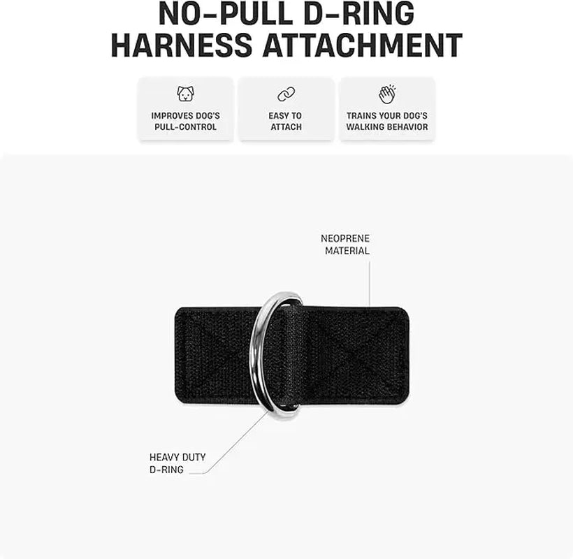 Dog Friendly Co. No-Pull Harness with Bungee Leash and D-Ring Attachment