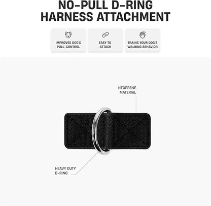 Dog Friendly Co. No-Pull Harness with Bungee Leash and D-Ring Attachment