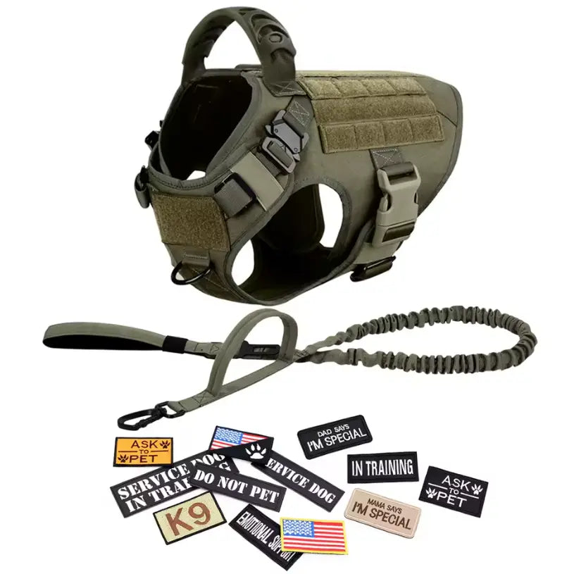 Professional Tactical Dog Harness, Leash, and Collar Set for Large Breeds - Ideal for German Shepherds and Malinois - Perfect for Training and Outdoor Activities