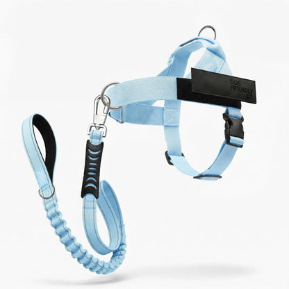 Dog Friendly Co. No-Pull Harness with Bungee Leash and D-Ring Attachment