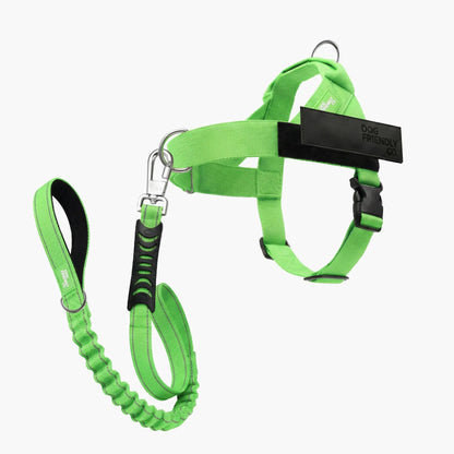 Dog Friendly Co. No-Pull Harness with Bungee Leash and D-Ring Attachment