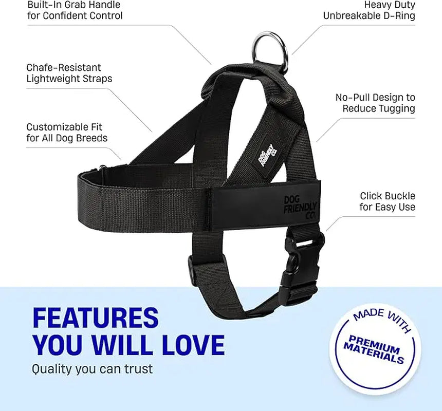 Dog Friendly Co. No-Pull Harness with Bungee Leash and D-Ring Attachment