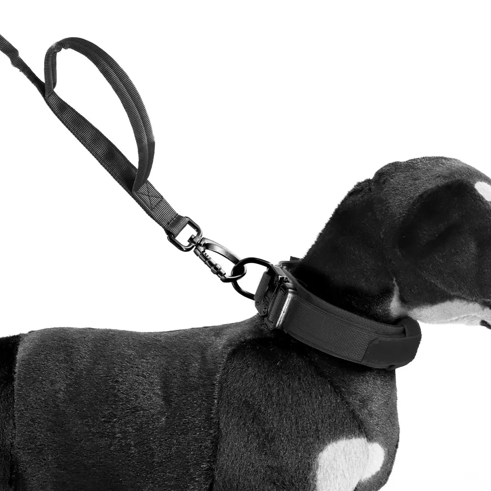 Professional Tactical Dog Harness, Leash, and Collar Set for Large Breeds - Ideal for German Shepherds and Malinois - Perfect for Training and Outdoor Activities