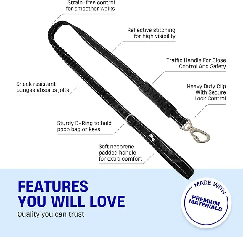 Dog Friendly Co. No-Pull Harness with Bungee Leash and D-Ring Attachment