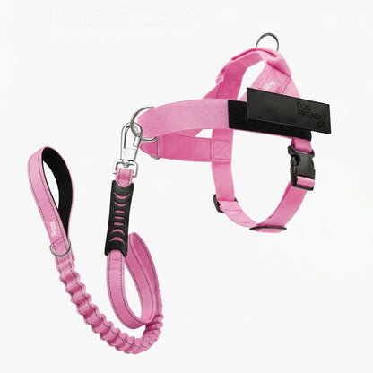 Dog Friendly Co. No-Pull Harness with Bungee Leash and D-Ring Attachment