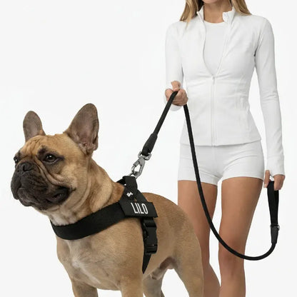 Dog Friendly Co. No-Pull Harness with Bungee Leash and D-Ring Attachment