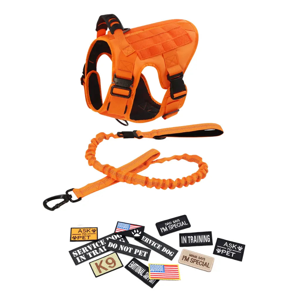 Professional Tactical Dog Harness, Leash, and Collar Set for Large Breeds - Ideal for German Shepherds and Malinois - Perfect for Training and Outdoor Activities