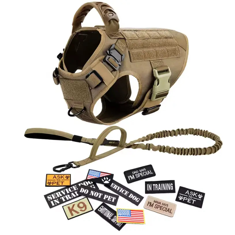 Professional Tactical Dog Harness, Leash, and Collar Set for Large Breeds - Ideal for German Shepherds and Malinois - Perfect for Training and Outdoor Activities