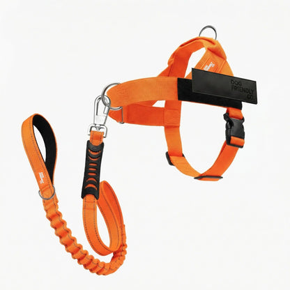 Dog Friendly Co. No-Pull Harness with Bungee Leash and D-Ring Attachment