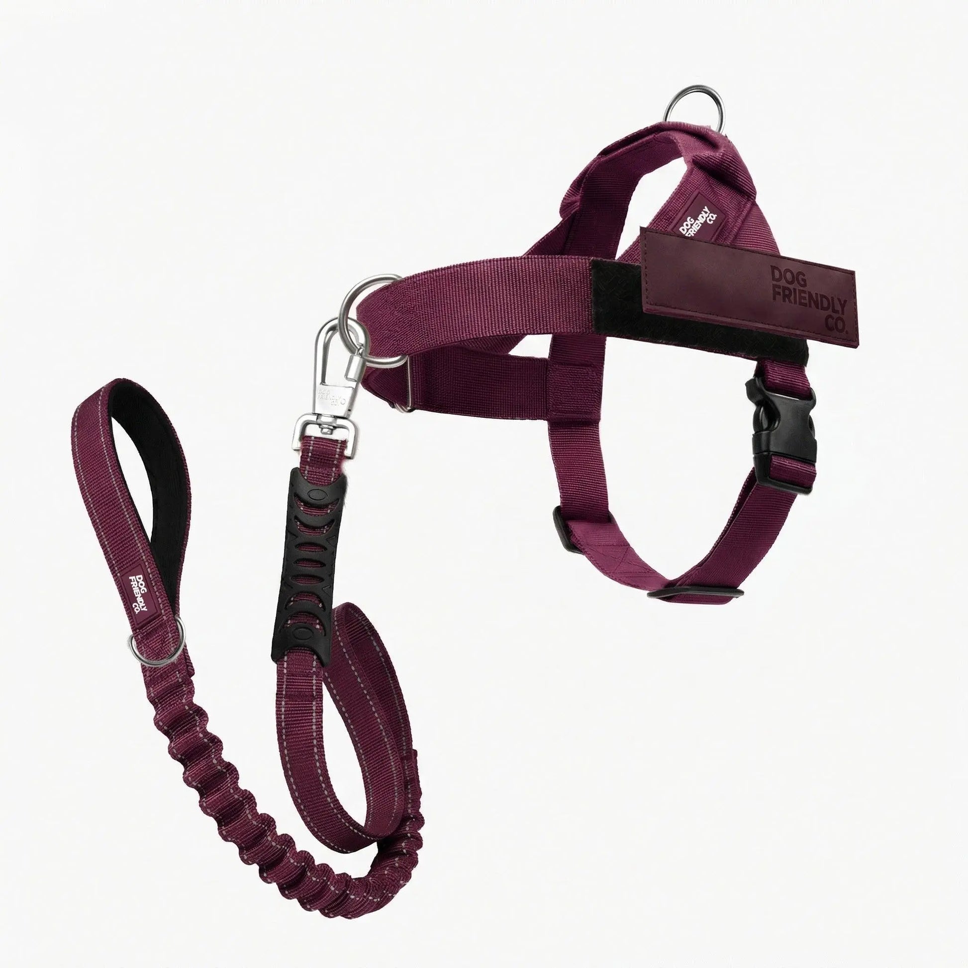 Dog Friendly Co. No-Pull Harness with Bungee Leash and D-Ring Attachment