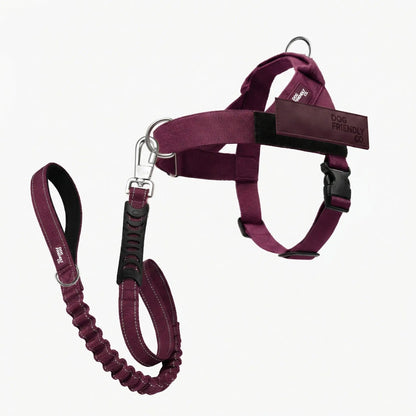 Dog Friendly Co. No-Pull Harness with Bungee Leash and D-Ring Attachment
