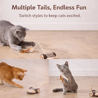 3-in-1 Interactive Robot Mouse Cat Toy with Feather Attachments - USB Rechargeable and Hands-Free Play for Indoor Cats